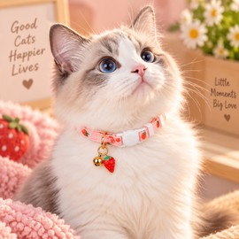 Cotton Breakaway Cat Collar with Bell – Cute Adjustable Kitten Collar with Heart Pendant for Everyday Pet Wear