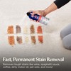 Bissell Professional Power Shot Oxy Carpet Spot & Stain Remover,