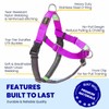APDEXY Freedom No Pull Dog Harness, Designed for Hound Dog