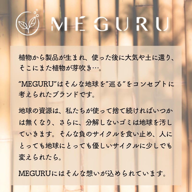 ファイン MEGURU 竹の歯ブラシ 豚毛 4本セット 生分解性 脱プラ国産歯ブラシ エコ