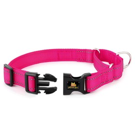 PLUTUS PET Reflective Martingale Collar with Quick Snap Buckle,No Pull Dog Choker Collar for Small Medium Large Dogs,M,Pink