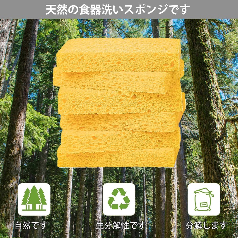 VANANA Biodegradable Kitchen Sponges, Set of 12, Made of Natural