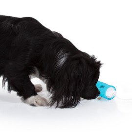 Edupet 06021AD Hundespielzeug, Dog'n'Roll, Intelligenzspielzeug für kleine Hunde, Leckerli-Spender, 10 cm, blau-türkis