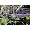 TDR Single Speed BMX Fixie Fixed Gear Bike Chain, 128