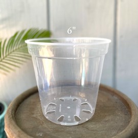 karenplantsplants™ 6" Clear Plastic Nursery Pot (Clear - 10 Pack)