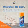 Spot Shot Instant Carpet Stain Remover 14oz Pack of 2