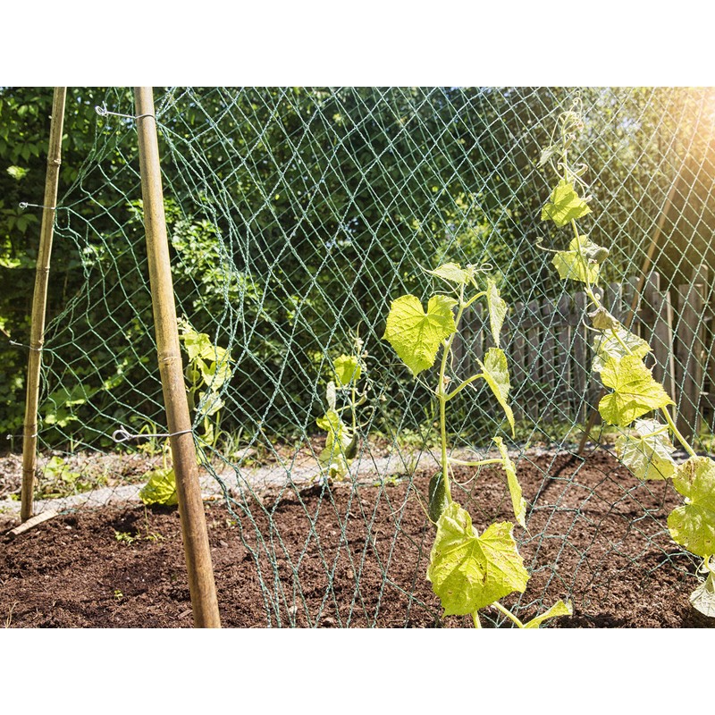 Windhager Trellis Net for the Perfect Growth of Cucumbers, Tomatoes