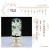 Art Four Seasons Buddha Flower (White) Mini Phalaenopsis Mini Glass