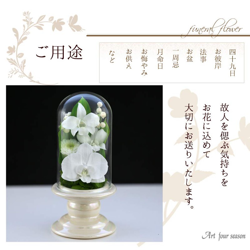 Art Four Seasons Buddha Flower (White) Mini Phalaenopsis Mini Glass