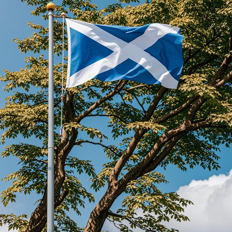 Scottish Flag 5ft x 3ft, Large Scotland Flags with Brass