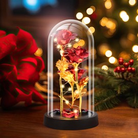 Tayfeim Glass Rose Flower for Women, Birthday Gifts for Women,Rose Flower Gifts for Women, Red Light Up Rose in A Glass Dome,Rose Gifts for Mom Her Christmas, Anniversary, Wedding, Valentines