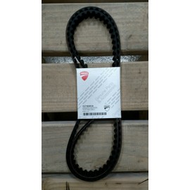 Ducati OEM Timing Belt Monster Supersport 73710081A set of 2