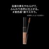 KATE BR-5 3D Eyebrow Color Z