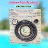 LIBERTY POOL PRODUCTS 65084 -Fits Hayward ® Northstar ™ Pool