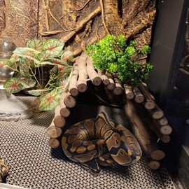 Hamiledyi Extra Large Tortoise Hide 20"x 11.8" Wooden Reptile Hides Large Snake Hide Turtle Hut Bendable Climbing Bridge Wood Tunnel Turtle Hideout for Ball Python Bearded Dragon Chameleon Lizard