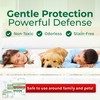 Hygea Natural Extra Strength Bed Bug & Lice Elimination Trio