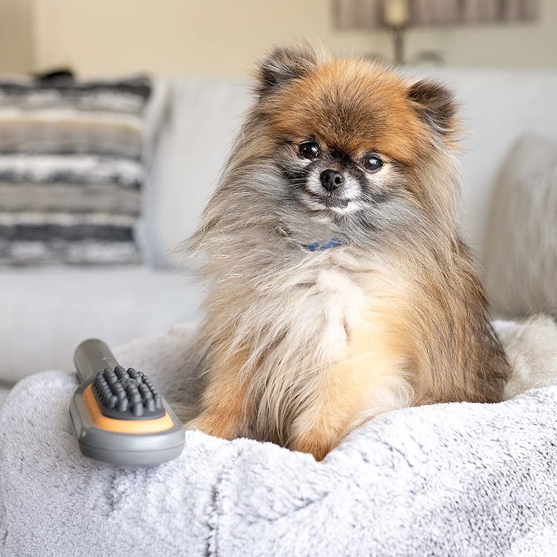 PAW WAVE Buzz Therapeutic Brush Vibration Pet Massager for Dogs