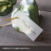 BAY LETTERPRESS Thank You Tags, 100 Pieces, Tracing Paper, Wrapping,