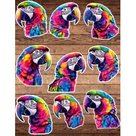Handmade Colorful Parrot Die Cut Vinyl Stickers Set Notebook Laptop Waterbottle  Sticker