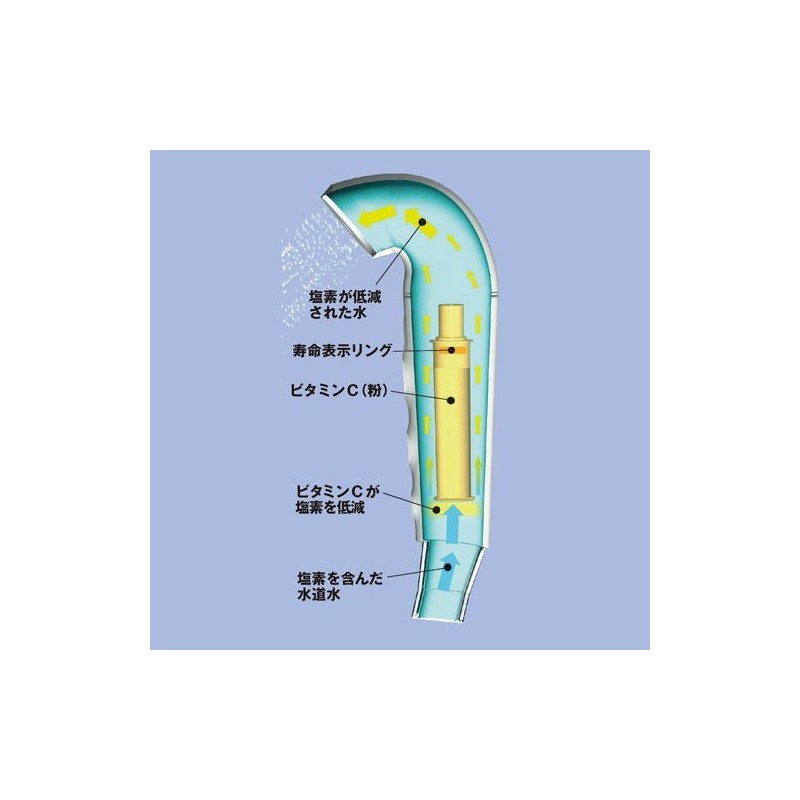 TOTO THY718-2R Vita C Shower Head, Switch between Raw Water