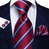 Hi-Tie Classic Mens Silk Ties Set 4 PCS Necktie Pocket