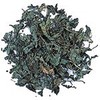 Organic Peppermint Herbal Tea Tree of Life