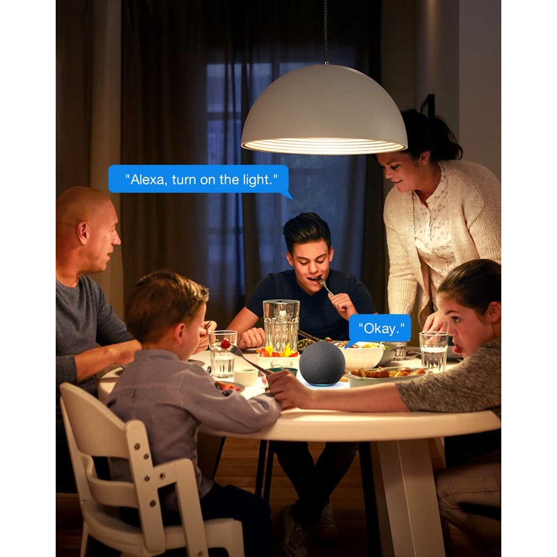 Smart Light Switch with Bluetooth Remote, Single Pole One-Way WiFi