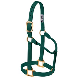 Weaver Leather Original Non-Adjustable Nylon Horse Halter, Weanling/Pony, Hunter Green