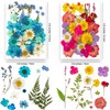 YoothBro 141PCS Real Nature Dried Pressed Flowers for Resin Mold,