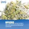 APSOGO Organic Greek Mountain Tea - Premium Quality & Excellent