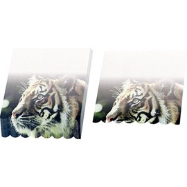 4A 3D Shape Printed Sticky Notes Memo Pad, Tiger Print, 3.35 x 3.75 Inches, Cute Sticky Notes for Note Taking Reminders Office Home School Supplies, 100 Sheets/Pad