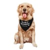 vercosee Baby Security in Training Dog Bandana ，New Baby Shower