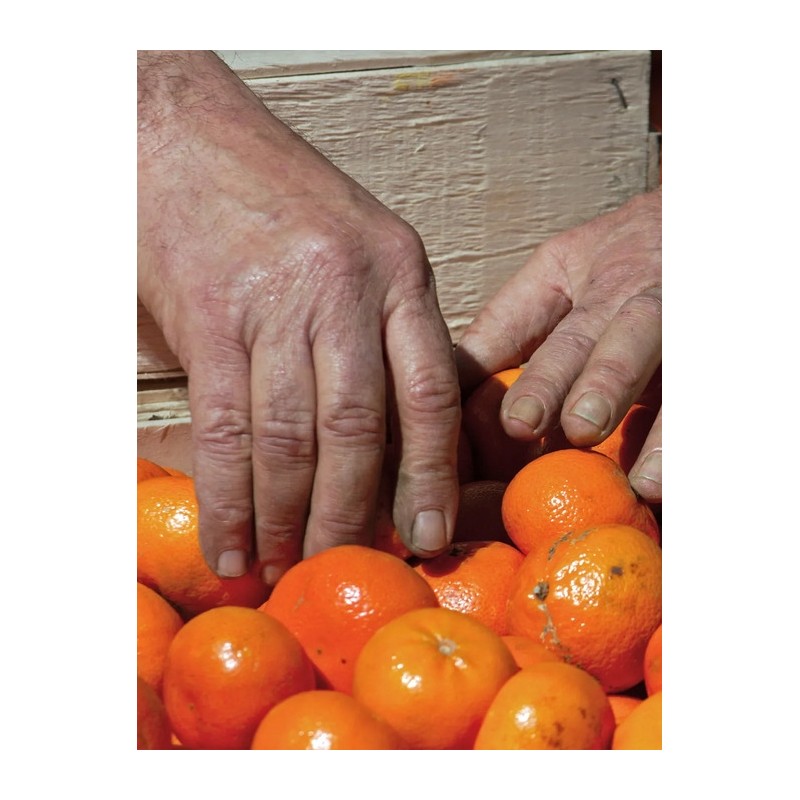 Entrance Amber EDP 50ml / 엔트런스 앰버 EDP 50ml