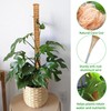 Dimpoo 48 Inch Moss Pole Monstera Plant Support, Coir Moss