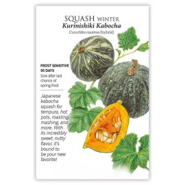 Sunshine Seeds Japanese Kurinishki Kabocha Squash Seeds (20) / WINTER / ORGANIC / VERY RARE
