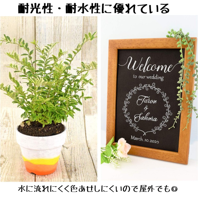 SAKURA サクラクレパス 水性ペン ピグマックス 細字 12色 ZPK-S12