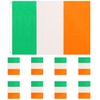 Ireland Flag Bunting and Flag Set - Irish - All
