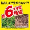 Rainbow Chemical “Root Eradication Ace V” Granules