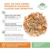 50 Bags Oatstraw Tea Oat Straw Herb Tea (Avena Sativa