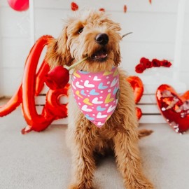 CROWNED BEAUTY Valentines Day Dog Bandanas, Reversible Large 2 Pack, Love Heart Set