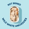 Wild Planet Wild Anchovies in Water with Sea Salt, 3rd