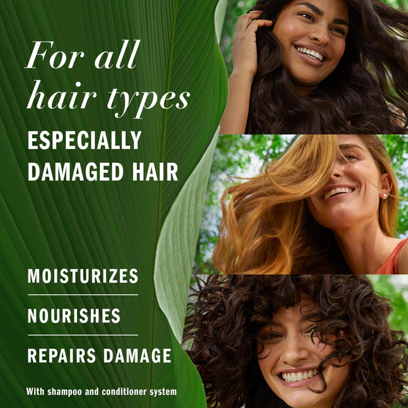 Herbal Essences Argan Oil Repair Shampoo & Conditioner Set, Moisturizes