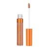 Rimmel Lasting Radiance Full Coverage Concealer and Eye Illuminator, SPF