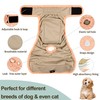 Female Dog Diapers 5Pcs - Premium Reusable Diapers for Doggie