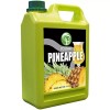 Possmei Bubble Tea Syrup Pineapple Flavor 5.5 lbs. Imported from