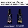 Schwarzkopf - GLISS - Elixir de Nuit - Rebuilding Hair