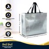 Nush Nush Silver Gift Bags Large Size – Set of