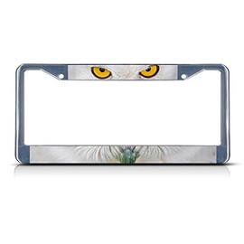 Fastasticdeals Owl Animal Eyes License Plate Frame Tag Holder Cover
