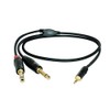 Digiflex HIN-1K-2P-10 Performance Series 10' Pro Splitter Cable, Mini TRS-2