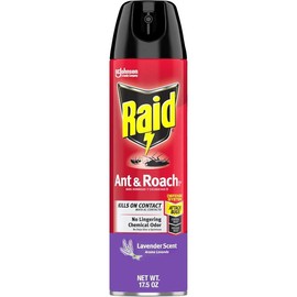 Raid Ant & Roach Killer Spray for Listed Bugs, Keeps Killing for Weeks, Lavender Scent, 17.5 oz - Style: Lavender, Size: 17.5 Fl Oz (Pack of 1)